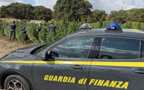 Antonio Auriemma al vertice del Nucleo economico-finanziario