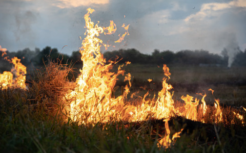 Incendio di vegetazione, coinvolti 1.800 metri quadrati