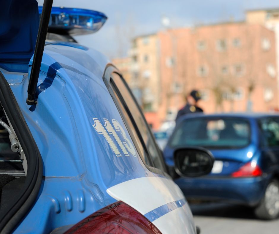 Gabbiano ucciso con un fucile, denunciato un anziano